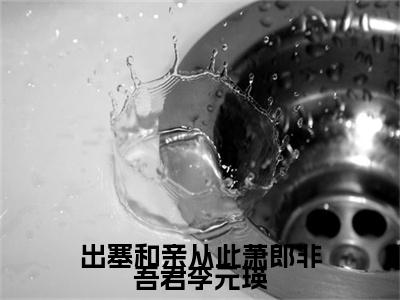 出塞和亲从此萧郎非吾君李元瑛全文免费阅读-（李元瑛萧衡）小说全文免费阅读正版无弹窗