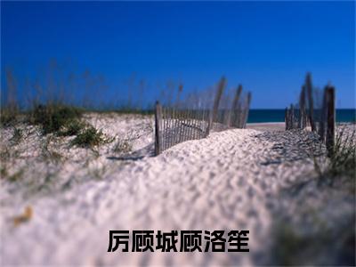 厉顾城顾洛笙（顾洛笙厉顾城）抖音热推小说全集无删减_（顾洛笙厉顾城免费阅读全文大结局）最新章节列表_笔趣阁