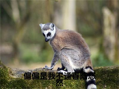 偏偏是我不逢春陆悠然（江靖宇陆悠然）全文免费阅读无弹窗大结局_（江靖宇陆悠然）小说免费阅读最新章节列表