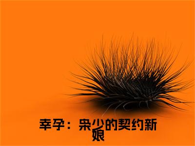 林海骁辛诗雨全文免费阅读大结局-幸孕：枭少的契约新娘最新章节列表-笔趣阁