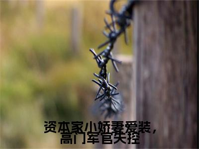 沈北川盛欢小说（资本家小娇妻爱装，高门军官失控）全文免费阅读无弹窗大结局_资本家小娇妻爱装，高门军官失控最新章节列表_笔趣阁（沈北川盛欢）