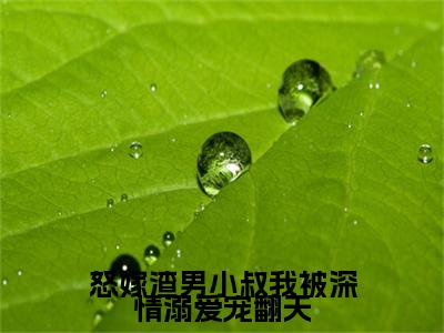 怒嫁渣男小叔我被深情溺爱宠翻天全文免费在线阅读_（怒嫁渣男小叔我被深情溺爱宠翻天免费阅读无弹窗）秦语顾铭晏全文免费完结版阅读（怒嫁渣男小叔我被深情溺爱宠翻天）