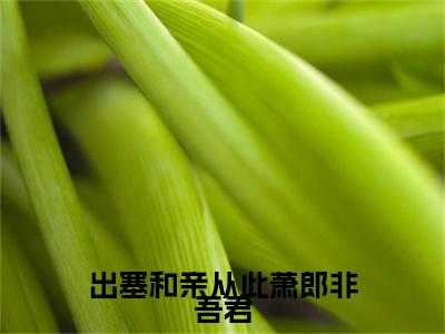 李元瑛萧衡抖音新书热荐-出塞和亲从此萧郎非吾君全文在线赏析（李元瑛萧衡）