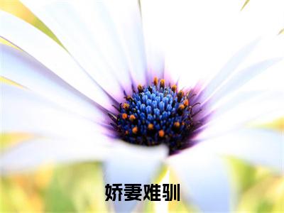 娇妻难驯（时鸢）全文在线阅读无弹窗大结局_（娇妻难驯在线阅读）最新章节列表_笔趣阁