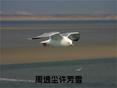 精选热门周逸尘许芳雪全文无删减版在线阅读