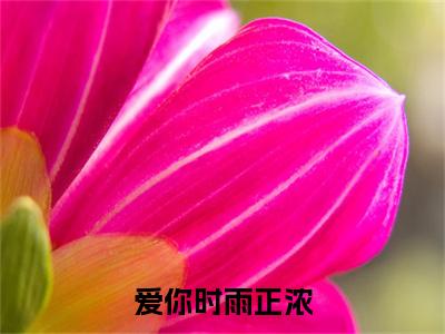 爱你时雨正浓全文免费阅读无弹窗，沈淮川江雨浓小说最新章节列表无删减_笔趣阁
