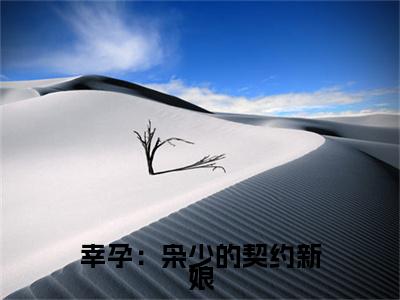 幸孕：枭少的契约新娘全文最新章节（林海骁辛诗雨）全文免费阅读无弹窗大结局_林海骁辛诗雨免费阅读