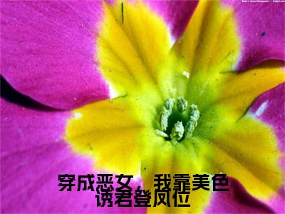 苏晚意（穿成恶女，我靠美色诱君登凤位）全文免费阅读无弹窗大结局_苏晚意小说全文大结局