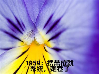 杜易梦全文免费阅读无弹窗大结局_1959：携带成就系统，她卷了最新章节列表_笔趣阁
