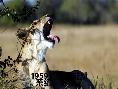 1959：携带成就系统，她卷了小说（杜易梦）全文免费阅读无弹窗大结局_杜易梦小说最新章节列表