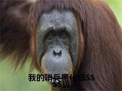 我的哨兵黑化成SSSS级（陆池乔叶）全文免费阅读无弹窗大结局_我的哨兵黑化成SSSS级（陆池乔叶免费小说）最新章节列表笔趣阁