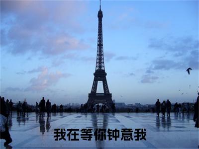 我在等你钟意我（阮雪青顾鸣乔）全文免费阅读无弹窗大结局_（阮雪青顾鸣乔）小说免费阅读最新章节列表