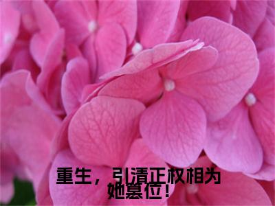 （热推新书）美文摘抄（重生，引清正权相为她篡位！）主人公为（陆九章叶皖宁）的小说重生，引清正权相为她篡位！大结局全文免费阅读_笔趣阁