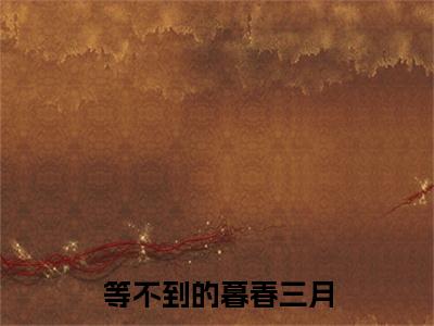 等不到的暮春三月小说全文免费阅读-（沈念薇陆时砚）等不到的暮春三月精选小说大结局阅读