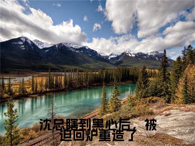 沈时璟林小纭沈总瞎到黑心后，被迫回炉重造了快手热文整理-沈时璟林小纭小说沈总瞎到黑心后，被迫回炉重造了今日更新章节