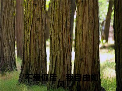 不爱你后，我自由如风最新章节（南阮骆司宸）小说推荐阅读-新书不爱你后，我自由如风精彩阅读