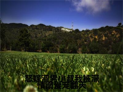 怒嫁渣男小叔我被深情溺爱宠翻天:秦语顾铭晏全文免费阅读无弹窗大结局_怒嫁渣男小叔我被深情溺爱宠翻天:秦语顾铭晏免费阅读