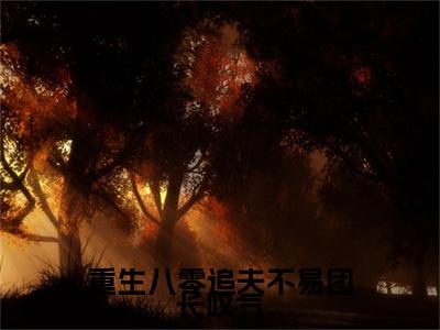 宋淮骁江馨月小说免费阅读全文（宋淮骁江馨月）全文免费阅读无弹窗大结局_重生八零追夫不易团长叹气最新章节列表
