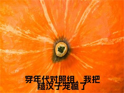 穿年代对照组，我把糙汉子宠疯了小说免费阅读林鸢完整版全文大结局
