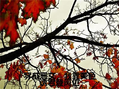 穿成恶女，我靠美色诱君登凤位（苏晚意）全文免费阅读无弹窗大结局_（苏晚意）的小说（穿成恶女，我靠美色诱君登凤位）最新章节列表