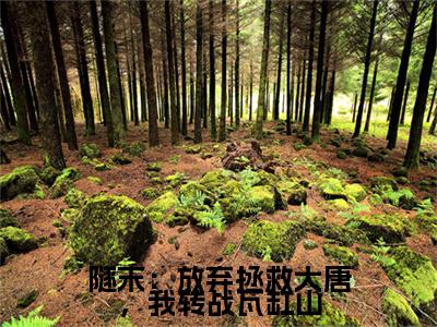 隧末：放弃拯救大唐，我转战瓦缸山小说（林凡）小说全文无删减版在线阅读_林凡小说最新章节列表