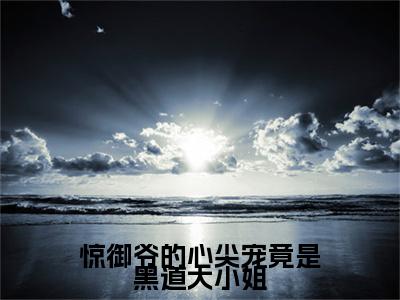 许轻欢（惊御爷的心尖宠竟是黑道大小姐）全文免费阅读无弹窗_惊御爷的心尖宠竟是黑道大小姐最新小说_笔趣阁