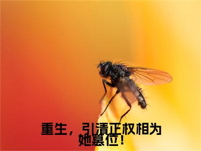 重生，引清正权相为她篡位！（陆九章叶皖宁）热门小说盘点在线阅读-重生，引清正权相为她篡位！小说无弹窗