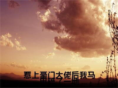 【全文】《陆琛江稚鱼》小说txt在线阅读_（陆琛江稚鱼全章节）-陆琛江稚鱼_惹上豪门大佬后我马甲碎了一地在线阅读