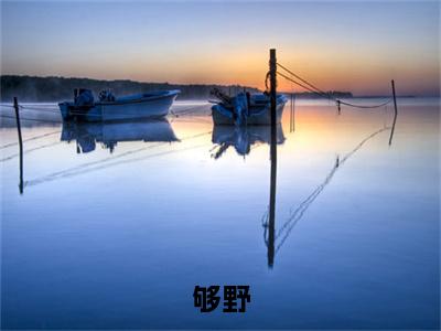 周寒野舒虞（够野）全文免费阅读无弹窗大结局_够野最新章节列表_笔趣阁（周寒野舒虞）