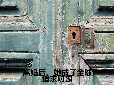离婚后，她成了全球追求对象（傅靳琛沐暖暖）最新小说全文阅读-热点小说离婚后，她成了全球追求对象（傅靳琛沐暖暖）最新章节免费阅读