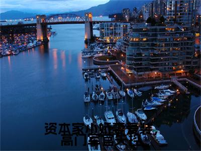 资本家小娇妻爱装，高门军官失控全文免费阅读无弹窗大结局-沈北川盛欢小说在哪里可以看