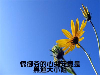 惊御爷的心尖宠竟是黑道大小姐（许轻欢）小说全文免费阅读-许轻欢小说最新章节完整版