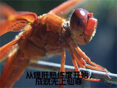 （从爆肝熟练度开始，成就无上仙尊）在线阅读-主角是（林业）的小说从爆肝熟练度开始，成就无上仙尊全文赏析最新章节列表_笔趣阁