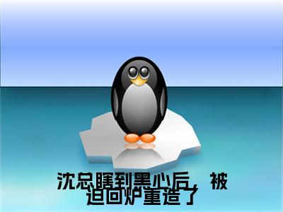 沈总瞎到黑心后，被迫回炉重造了精选热门好书-沈总瞎到黑心后，被迫回炉重造了（沈时璟林小纭）全文无删减版在线阅读