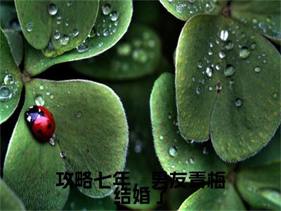 攻略七年，男友青梅结婚了（沈薇薇陆远方）全文免费阅读无弹窗大结局_沈薇薇陆远方无弹窗最新章节列表_笔趣阁