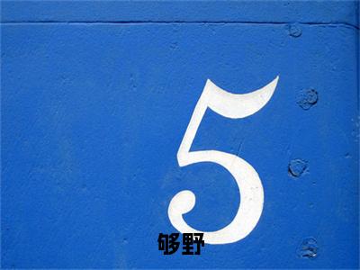 够野（周寒野舒虞）老书虫推荐小说热文-够野最新更新免费阅读