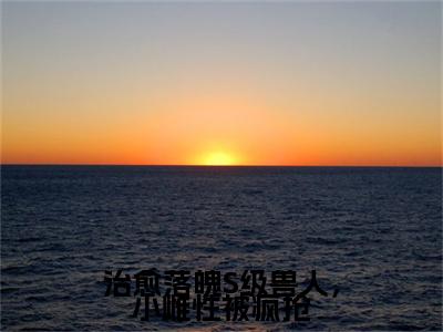 小说陆筱（治愈落魄S级兽人，小雌性被疯抢小说免费阅读）完结阅读，陆筱在线阅读