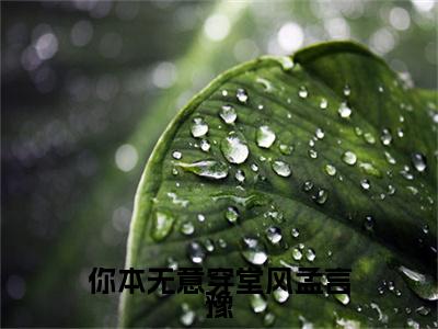 你本无意穿堂风孟言豫小说免费阅读全文小说顾情绾孟言豫全章节阅读