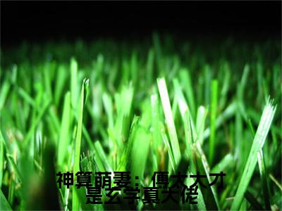 锦朝朝傅霆渊小说全文（神算萌妻：傅太太才是玄学真大佬）全文免费阅读无弹窗大结局_神算萌妻：傅太太才是玄学真大佬小说免费最新章节列表