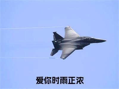 沈淮川江雨浓全文免费（爱你时雨正浓）全集小说完整版大结局-沈淮川江雨浓全文阅读无弹窗