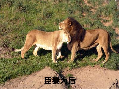 陆清悦燕聿（臣妻为后）全文免费阅读_（臣妻为后）陆清悦燕聿最新章节列表_笔趣阁