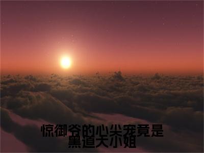 惊御爷的心尖宠竟是黑道大小姐（许轻欢）全文免费阅读无弹窗大结局_（许轻欢）免费阅读无弹窗最新章节列表