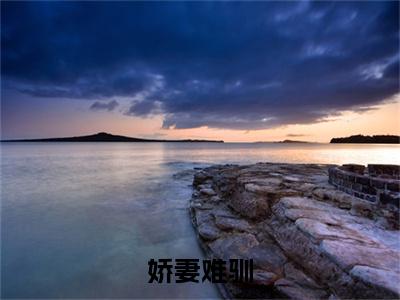 娇妻难驯（时鸢）全文无删减版在线阅读_娇妻难驯全文免费阅读最新章节列表_笔趣阁