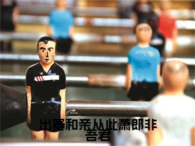 后续+免费出塞和亲从此萧郎非吾君（李元瑛萧衡）全文小说在线阅读-出塞和亲从此萧郎非吾君全章节最新阅读