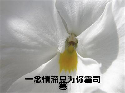 小说《蓝鳞儿霍司寒》全文免费阅读无弹窗-一念情深只为你霍司寒小说全文在线赏析