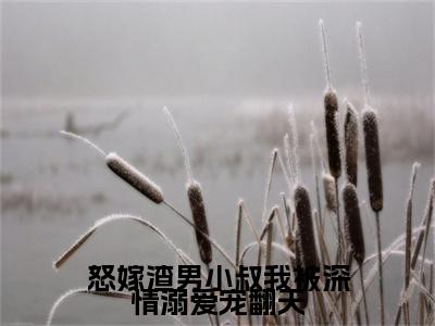 主角叫秦语顾铭晏的小说-（怒嫁渣男小叔我被深情溺爱宠翻天）秦语顾铭晏全文无弹窗完整版阅读