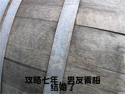 攻略七年，男友青梅结婚了（陆远方沈薇薇）全文免费阅读无弹窗大结局-攻略七年，男友青梅结婚了最新章节列表-笔趣阁