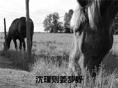 沈瑾则姜梦妤姜梦妤沈瑾则小说全文免费阅读无弹窗大结局_沈瑾则姜梦妤（姜梦妤沈瑾则）最新章节列表笔趣阁
