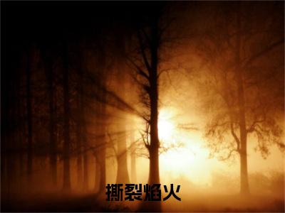 撕裂焰火（纪莫年）全文免费阅读无弹窗_撕裂焰火全文免费阅读无弹窗最新章节列表笔趣阁