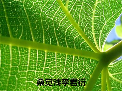 桑觉浅李君衍无广告小说（桑觉浅李君衍）全文免费阅读无弹窗大结局-桑觉浅李君衍在线阅读
